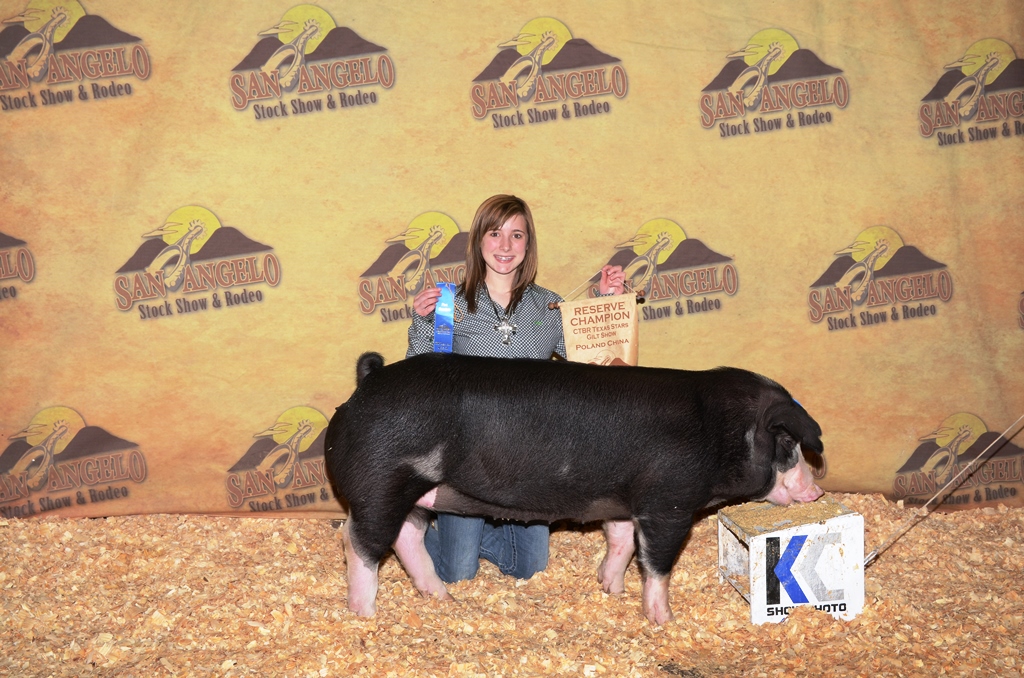 2013 San Angelo Livestock Show Reserve Champion of Show Poland