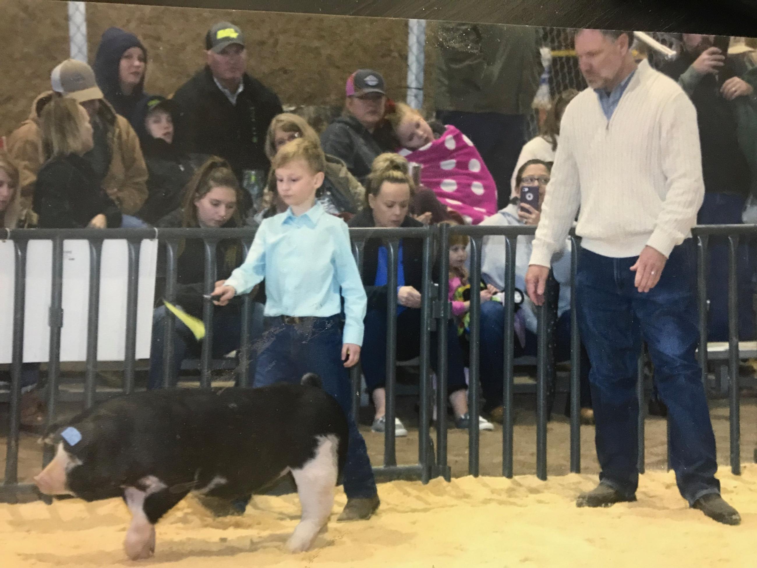 2018 December Williamson Couty Livestock Show