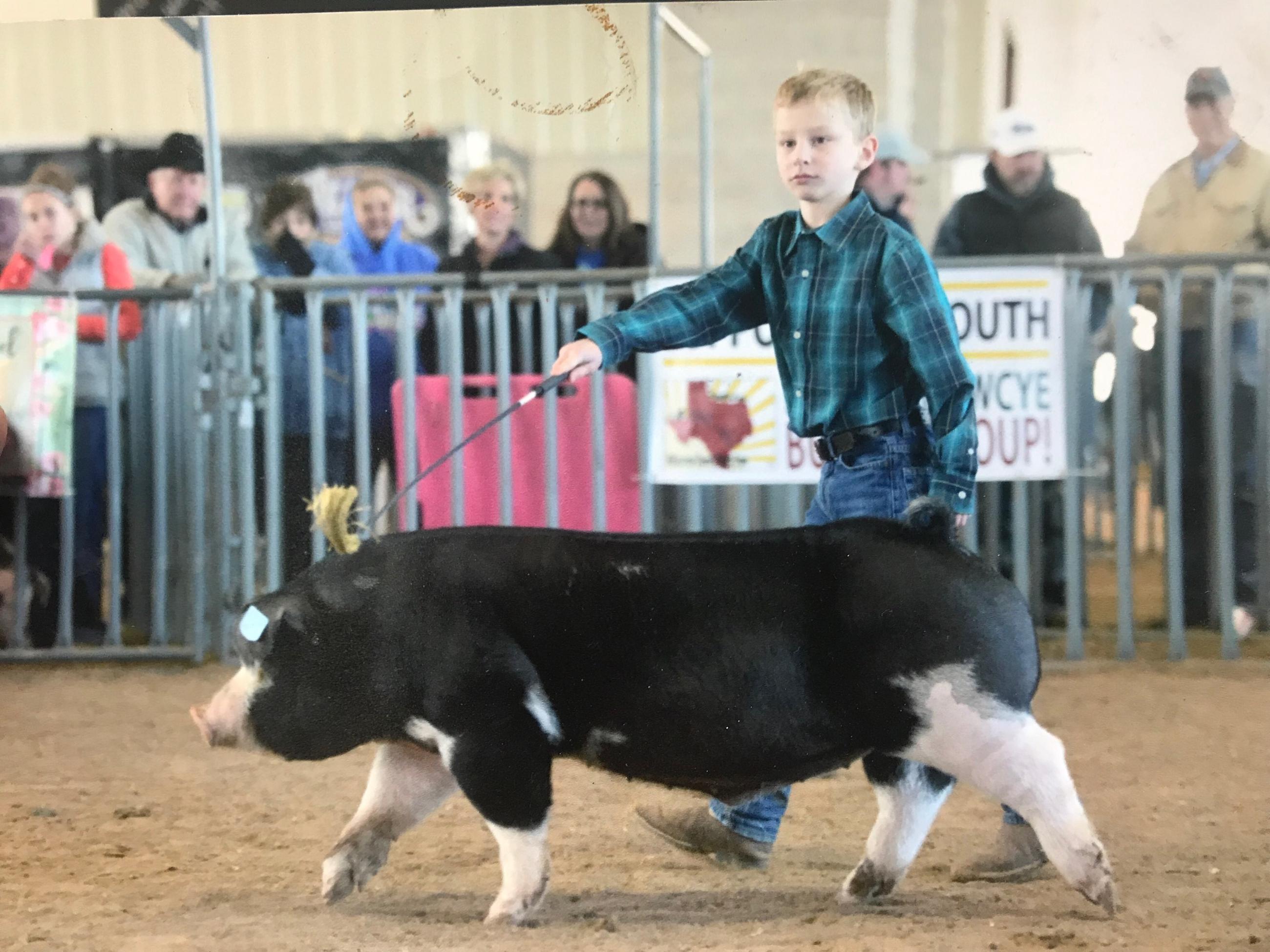 2019 January Williamson County Youth Expo